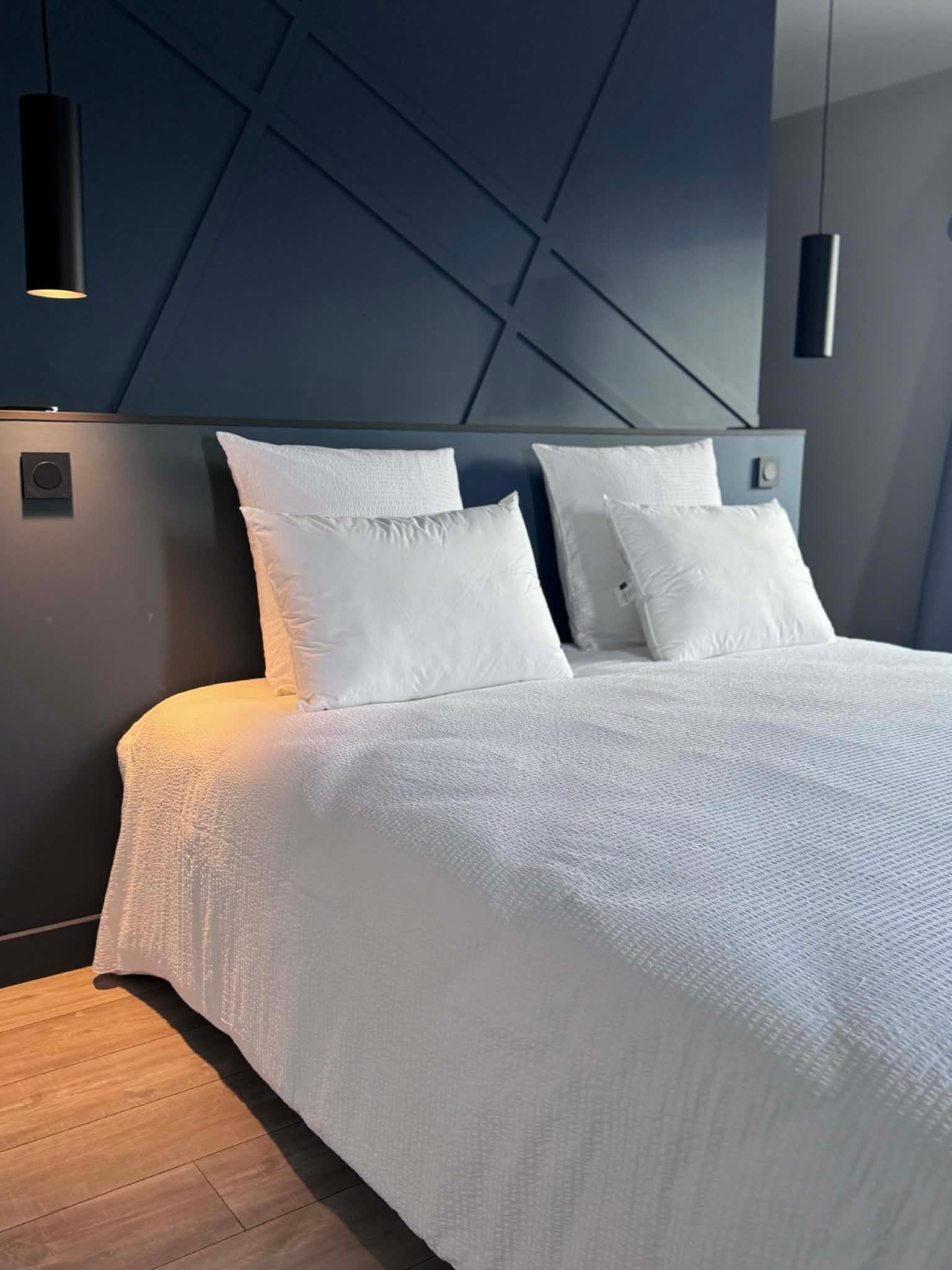 Gite Bleu Rivages - Chambre d'hotes au bord de la Saone a Saint-Didier-sur-Chalaronne